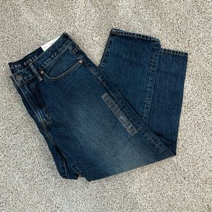 American eagle men’s dark vintage skater Jean